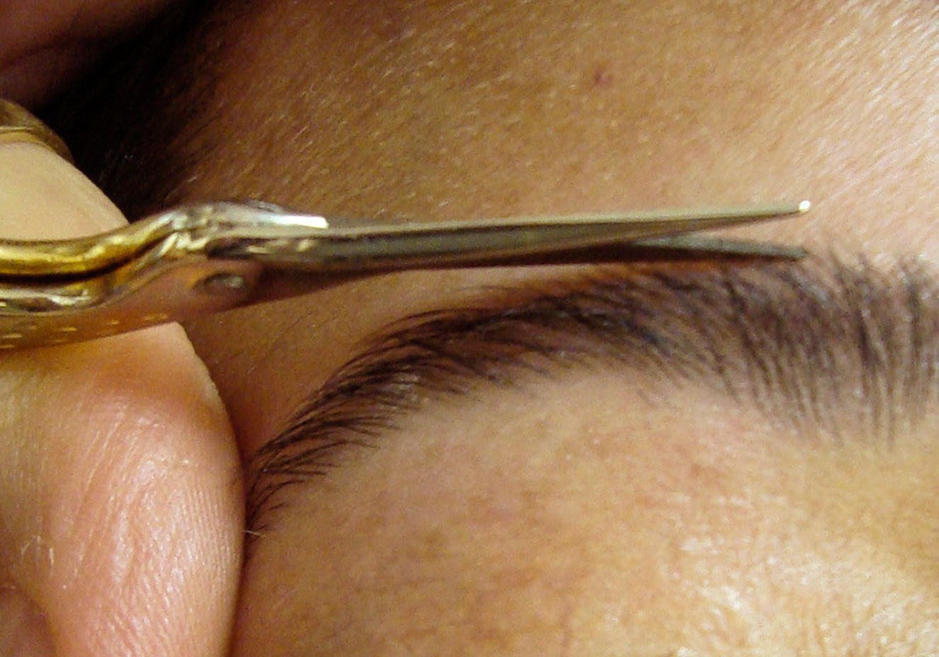 Divulga&ccedil;&atilde;o