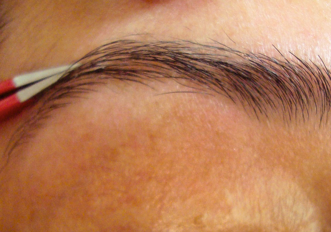 Divulga&ccedil;&atilde;o