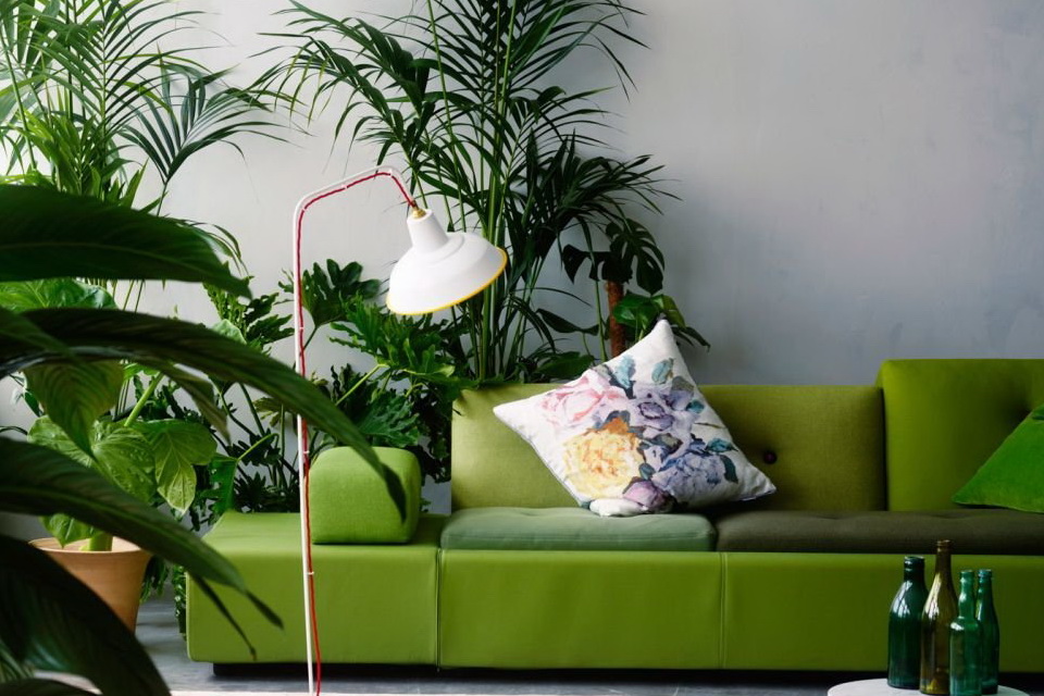 Urban jungle: 8 dicas para colocar mais verde na sua casa