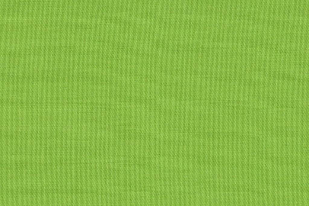 Pantone 15-0343