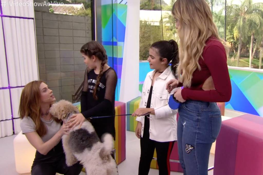 Atriz mirim diz no Vídeo Show que cão é sedado para fazer cena em novela