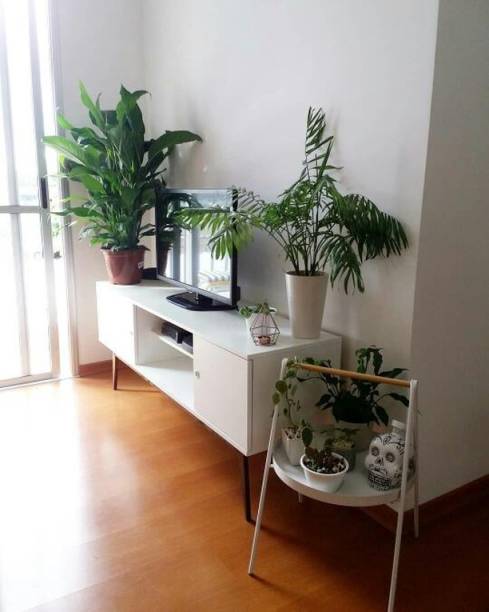 @alugamoso13 @alugamoso13