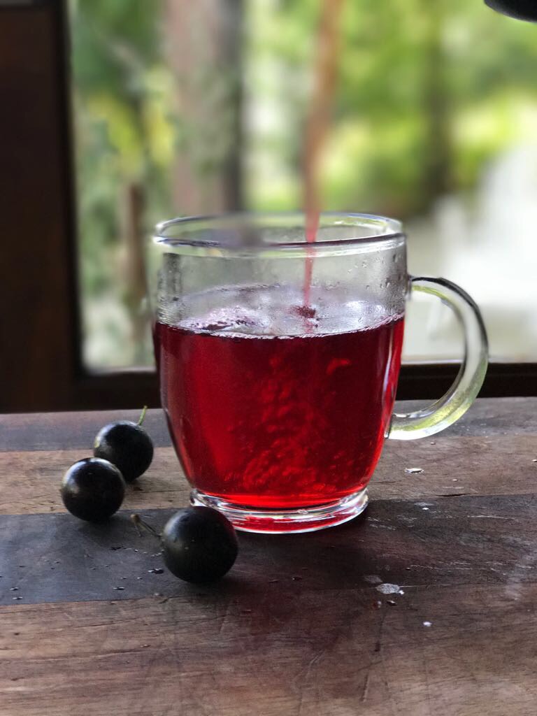 Chá de jabuticaba Chá de jabuticaba