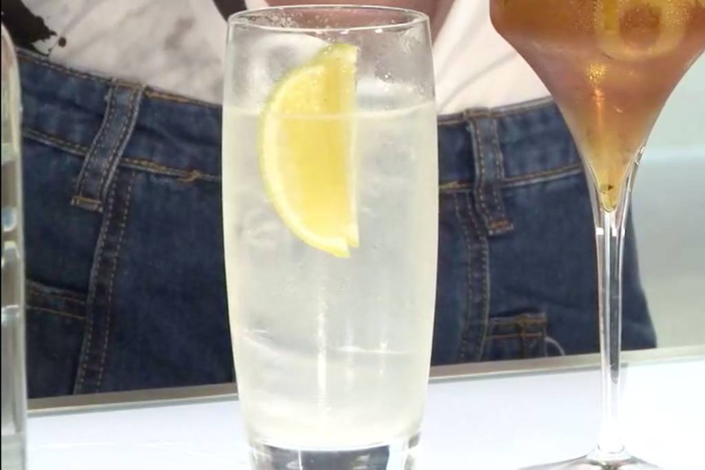 Drink de gin, suco de limão, xarope de açúcar e club soda