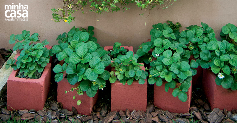 Horta cultivada em blocos de concreto e em paletes