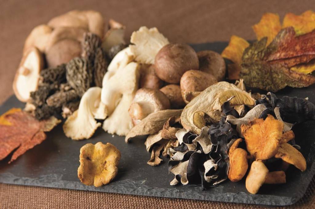 Nhoque de cogumelos
