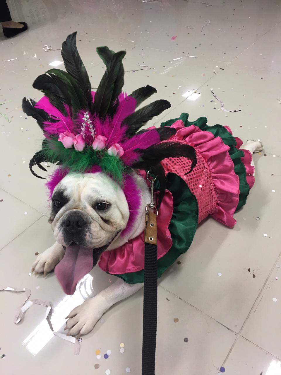 Pandora durante um bloco de carnaval Pandora durante um bloco de carnaval