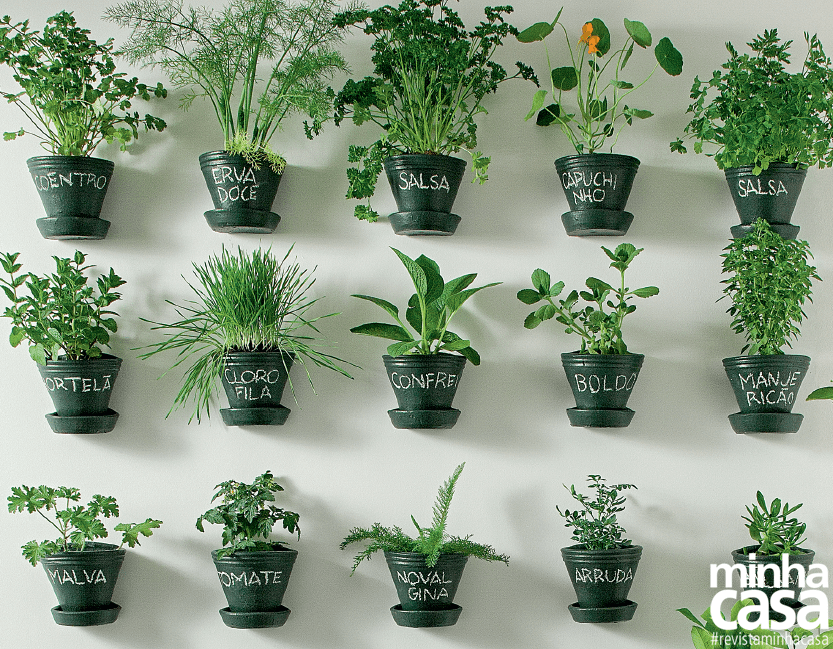 Jardim vertical: 11 ideias para você copiar