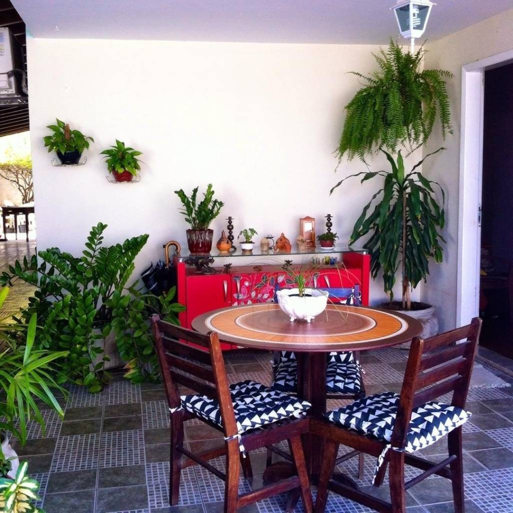 @plantasdecor