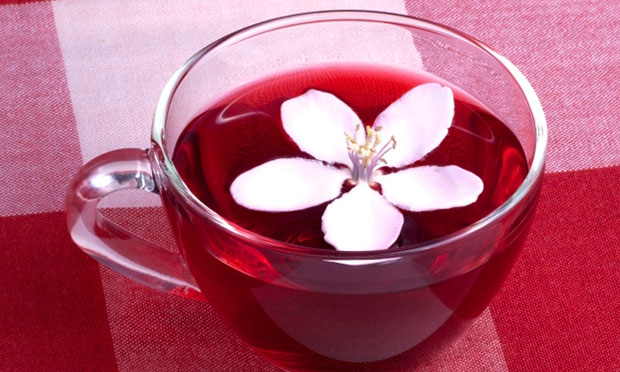 Chá de cavalinha, alcachofra e hibisco