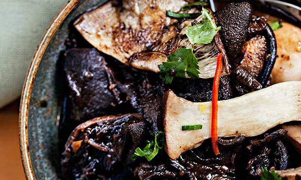 Ragu de cogumelos com gengibre