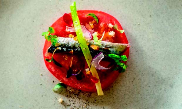 Salada de tomate e sardinha