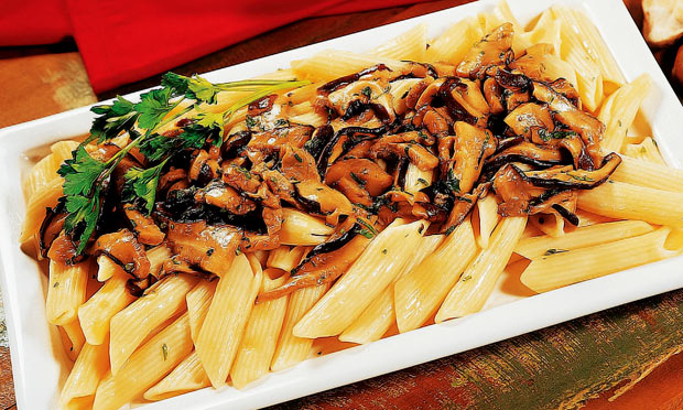 Penne com  shitake