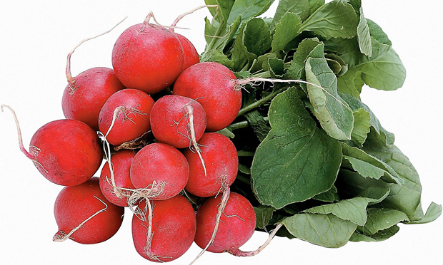 Rabanetes cozidos