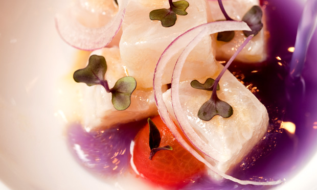 Robalo em ceviche e sua sopa de manjericão