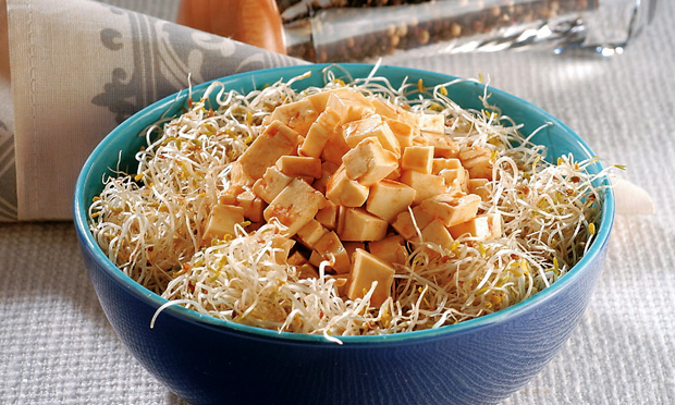Salada de broto de alfafa