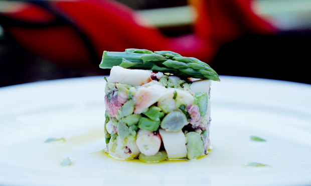 Salada de polvo, fava e aspargo