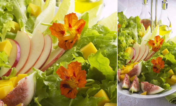 Salada de festa