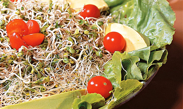 Salada marinada de brotos com abacate