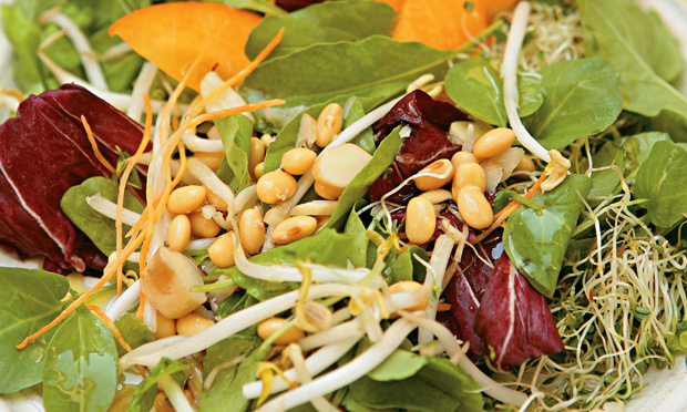 Salada nutritiva