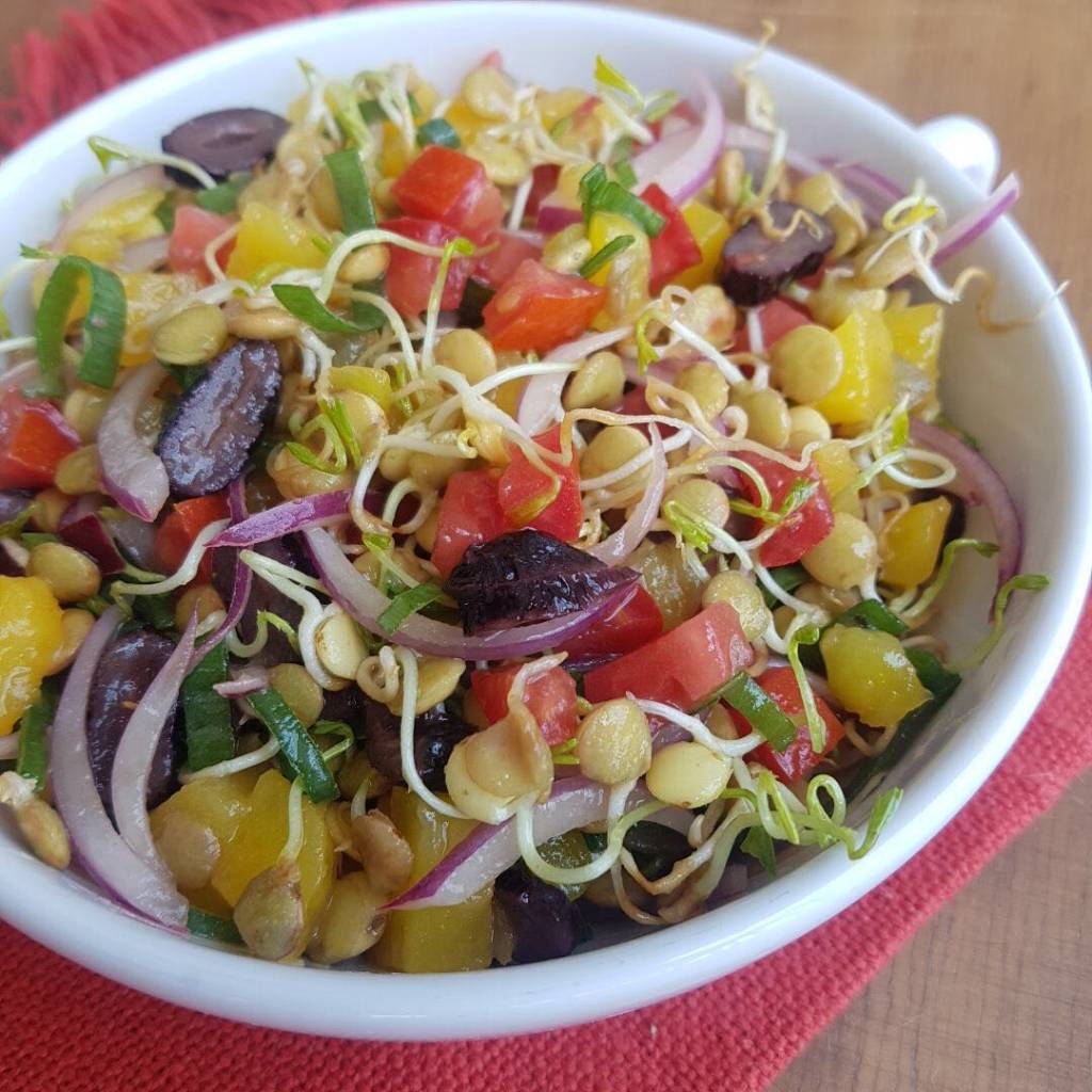 Salada de lentilha germinada com cebola roxa e tomate