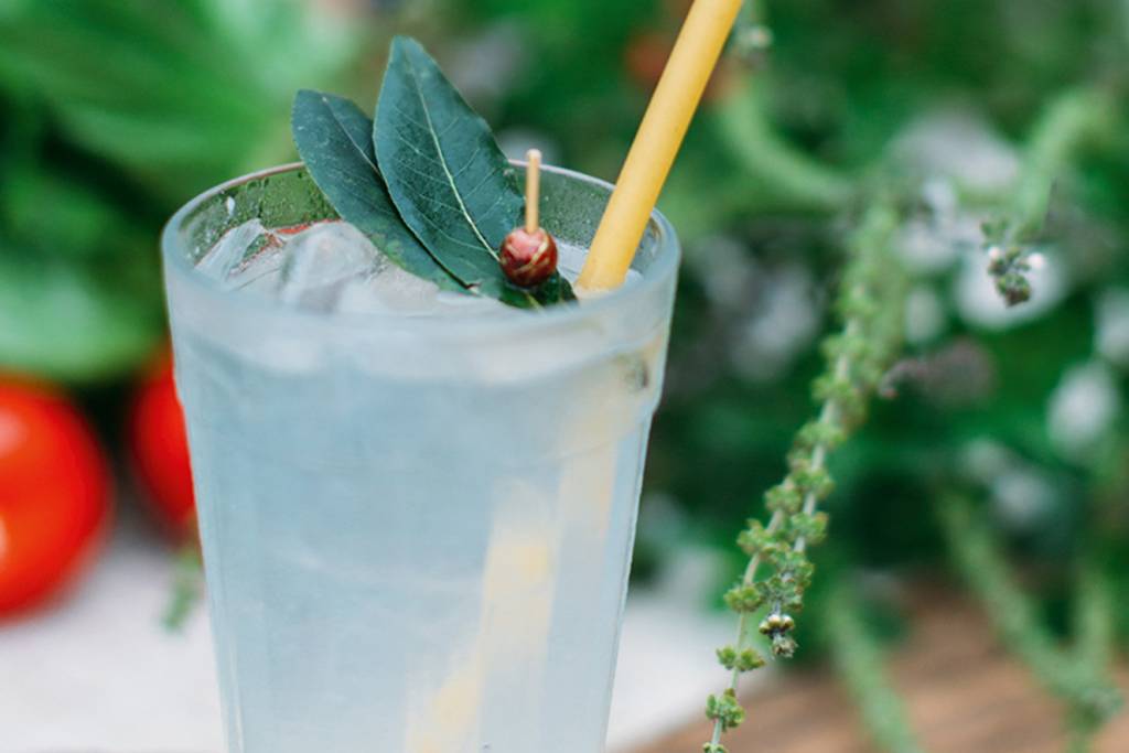 soda-de-louro- soda de louro