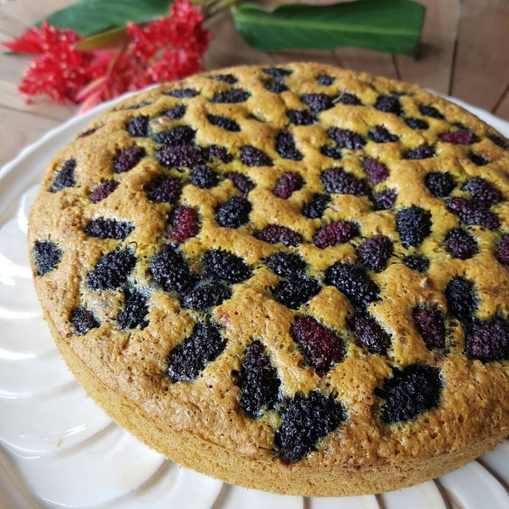 Torta fit de amora para um lanche especial