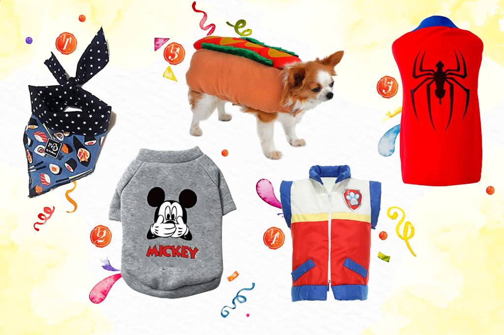 Fantasias para pets Fantasias para pets