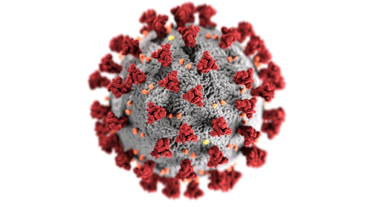 vírus covid-19