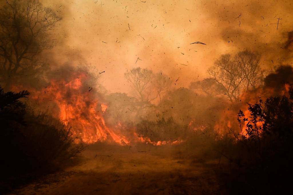 incêndio no Pantanal