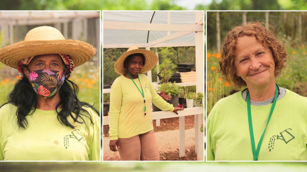 Agricultura urbana é recomeço para estas mulheres em vulnerabilidade