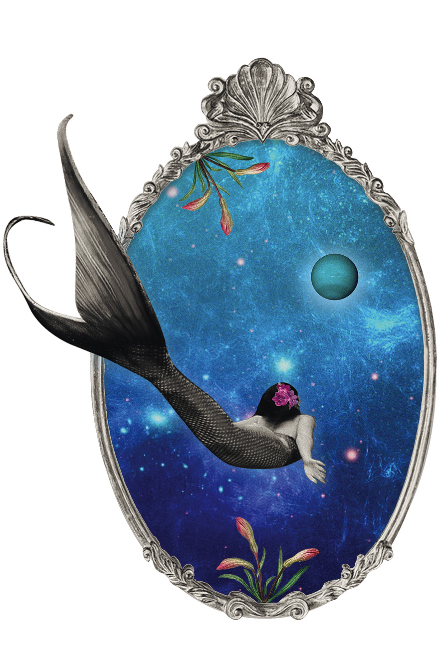 PEIXE horoscopo 2021 Greice Reich (@apolonniastudio)