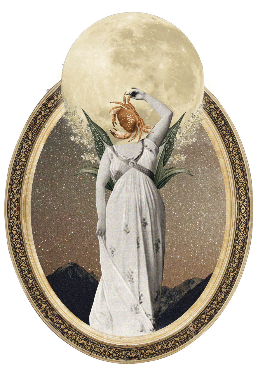 câncer horoscopo 2021Greice Reich (@apolonniastudio)