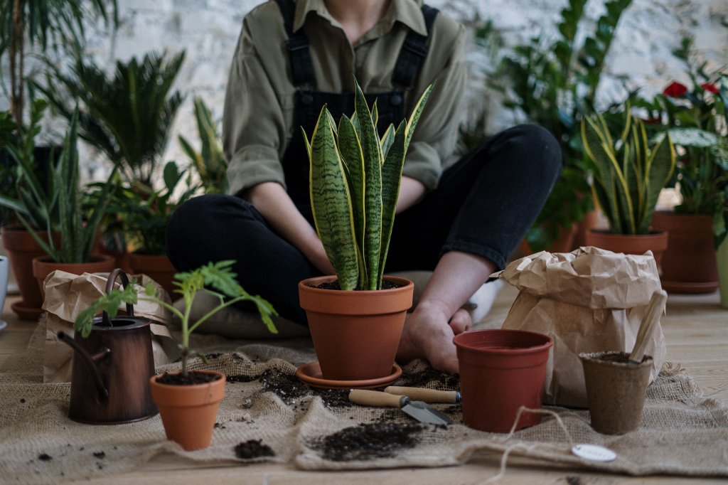 Mulher sentada no chão cercada de vasos de plantas e utensílios de jardinagem