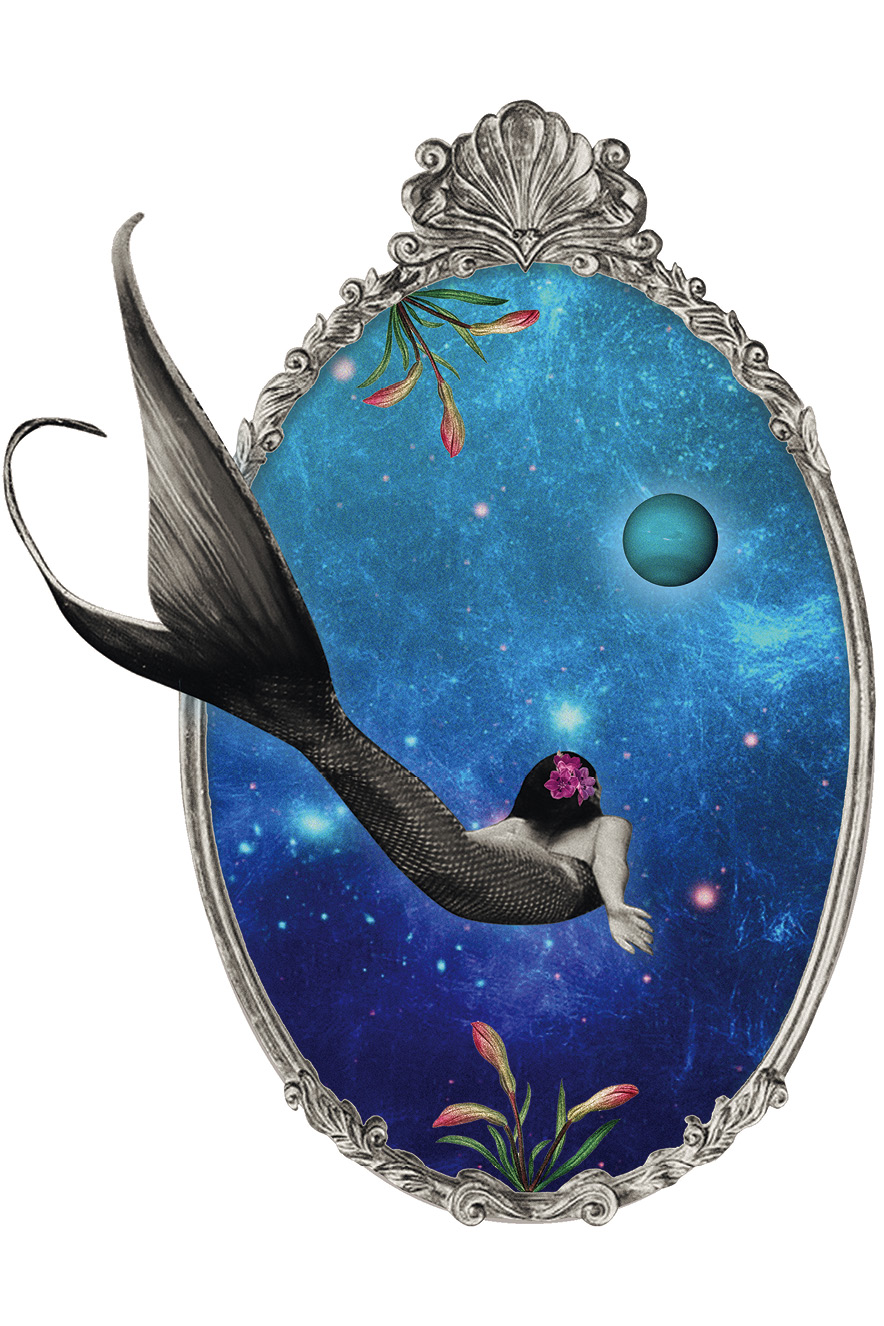 Ilustração de astrologia para representar o signo de Peixes
