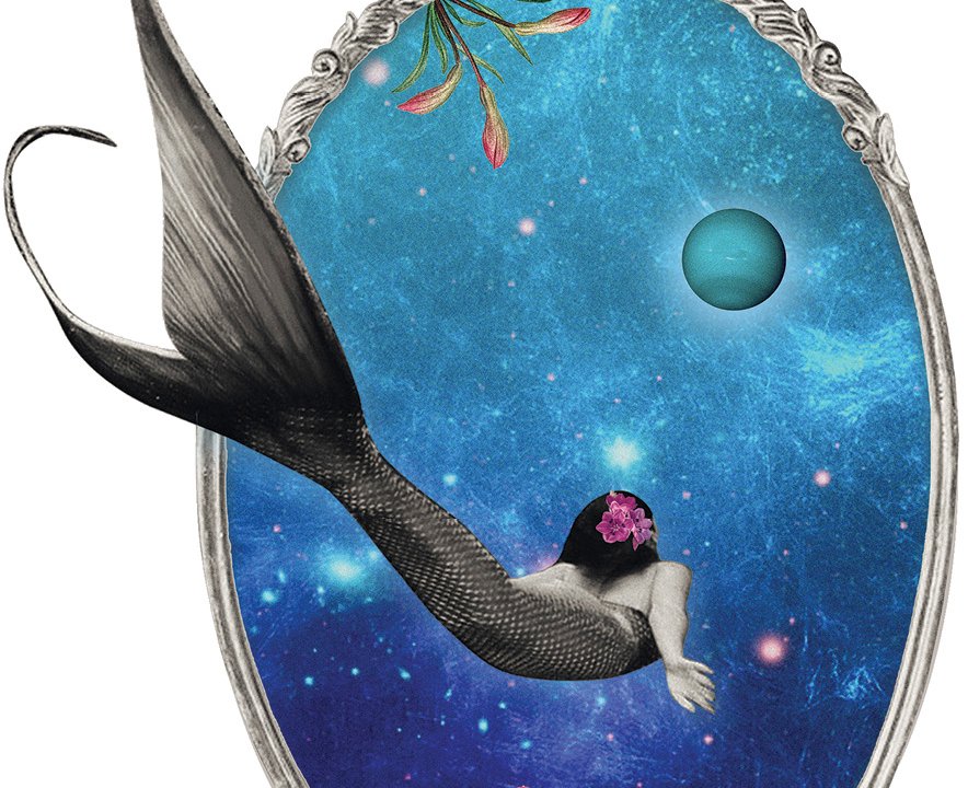 Ilustração de astrologia para representar o signo de Peixes