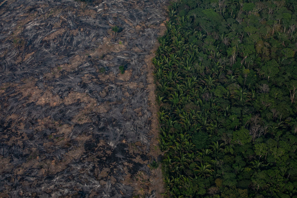 Vista aérea de região da floresta Amazônica em Rondônia afetada pelas queimadas de 2019