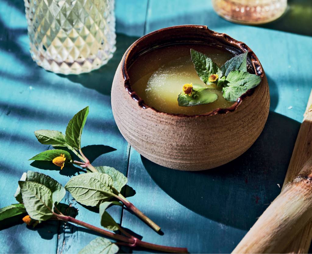 Drinque canavial elétrica