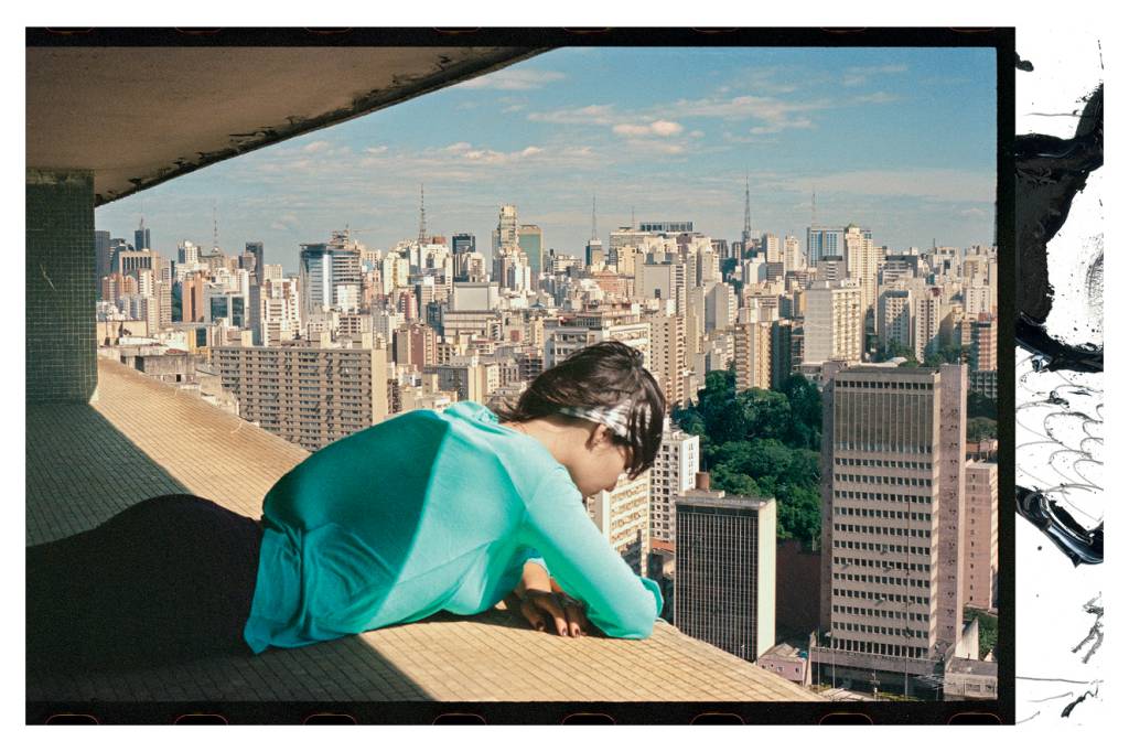 Esses dois livros de colecionador são lindos e vão decorar a sua casa