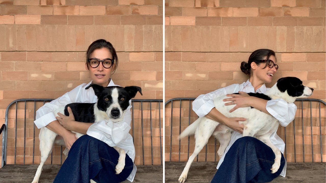 Renata Vasconcellos com cachorros