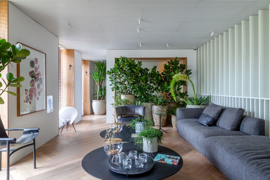 Sala de estar com plantas e sofá cinza