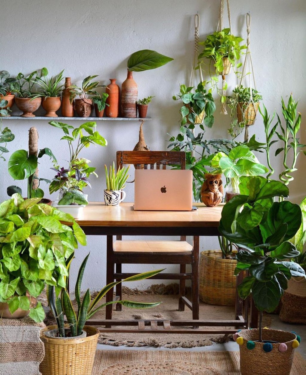 Home office cheio de plantas