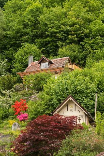 Em meio ao verde e a natureza exuberante, essa casa de madeira ganha vistas adoráveis.