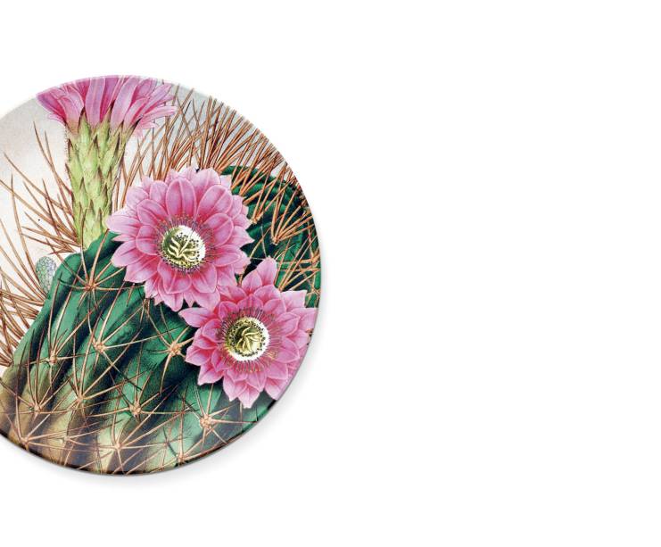 O prato de porcelana Pretty Cactus (27 cm) vale 51 dólares na Zazzle.