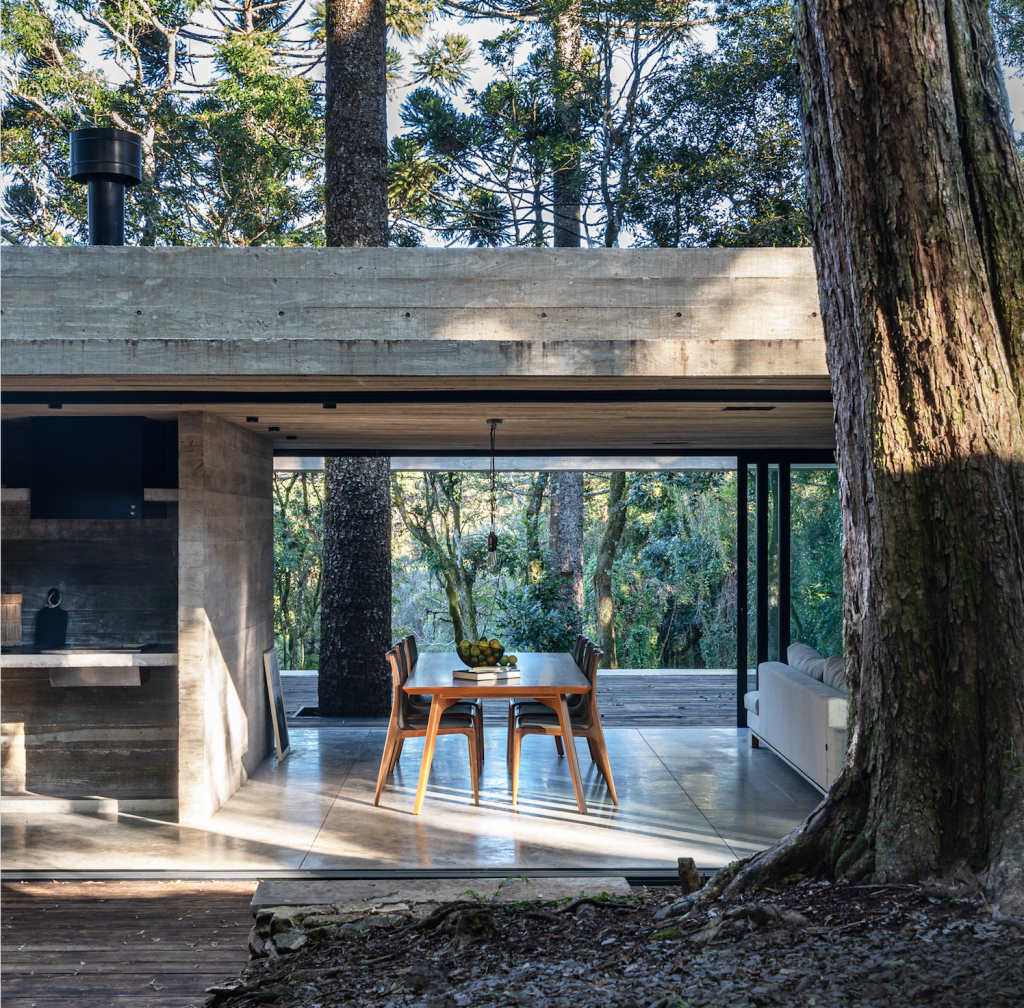 A Casa Fortunata se mimetiza na natureza ao redor de uma Araucária