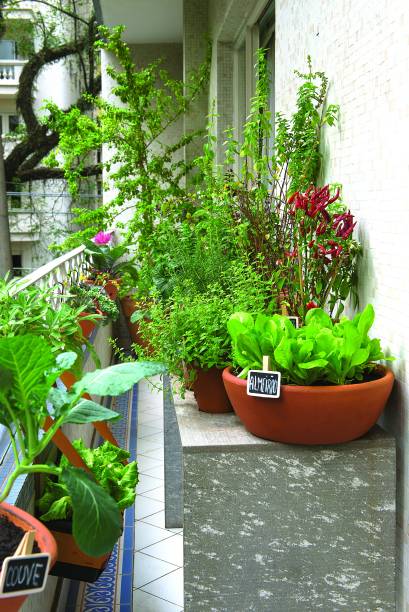 Horta montada em uma varanda de apartamento.