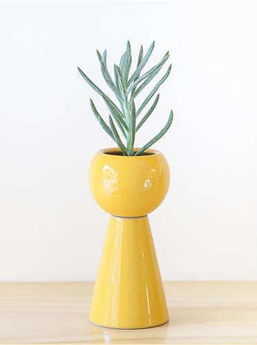 O vaso <a href="https://www.gotoshop.com.br/decoracao/vasosecachepots/Vaso-Mii-M-Amarelo-9554806.html?utm_source=sites&utm_medium=matéria_CC&utm_campaign=produtos&utm_content=201802">Mii</a> M amarelo custa R$ 160.