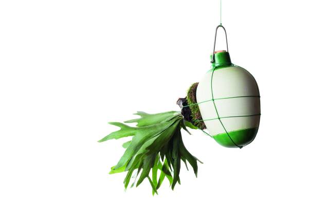 Vaso suspenso Epiphytes, do estúdio Dossofiorito. Vaso suspenso Epiphytes, do estúdio Dossofiorito.