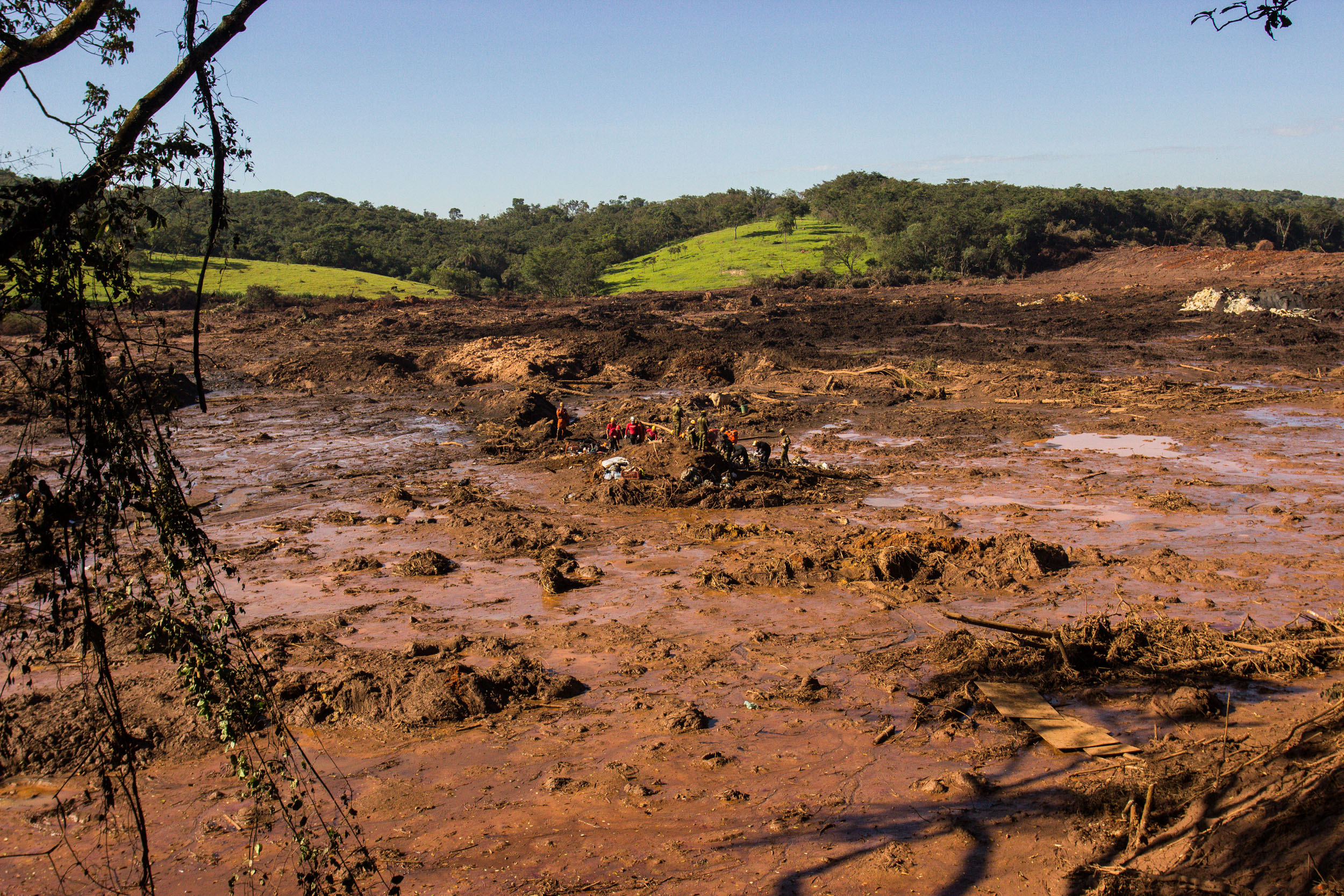 Brumadinho: Identificada, Vítima Da Tragédia Em Brumadinho Era Técnica ...