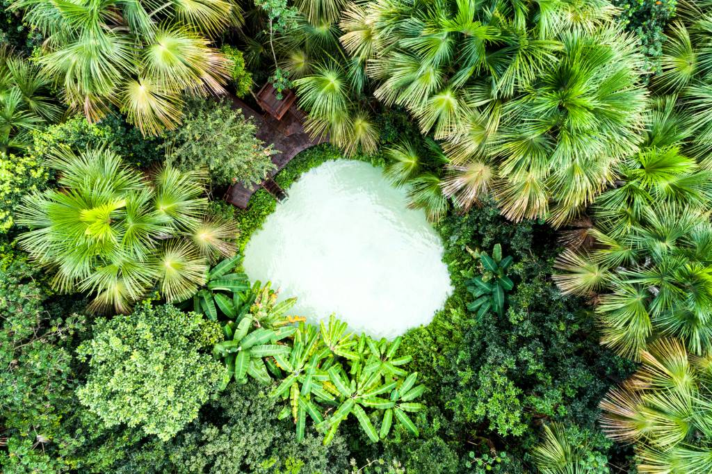 Top view of Fervedouro Bela Vista and forest in Jalapão jalapão